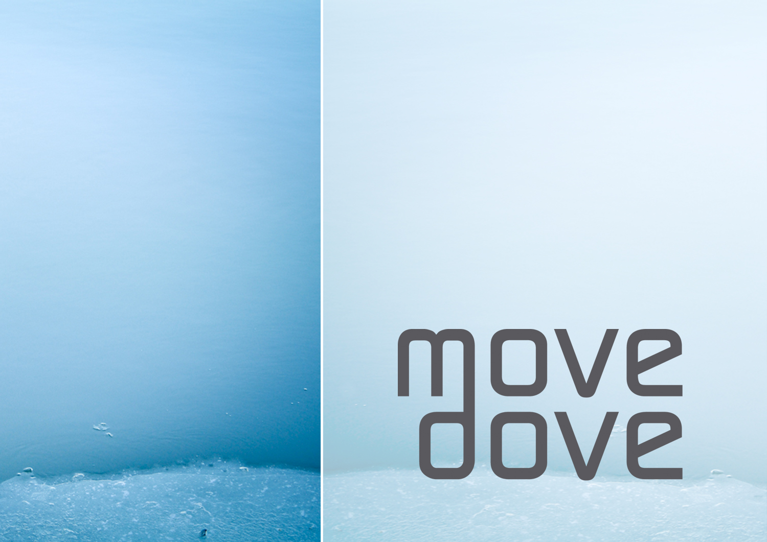 MoveDove